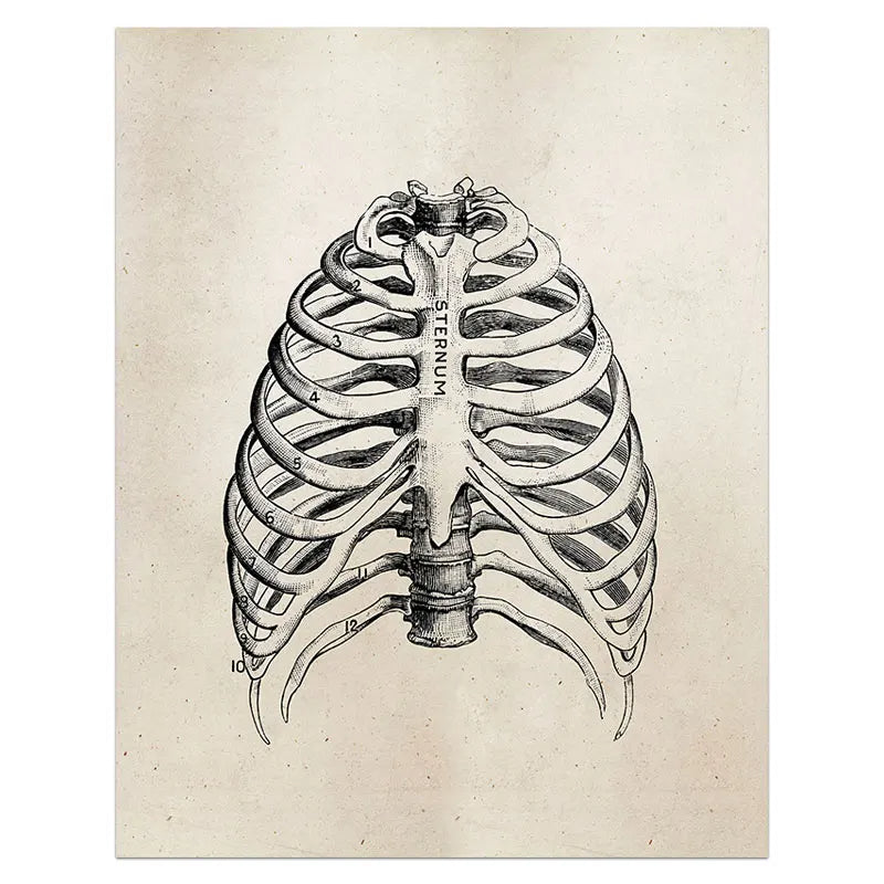 Human Chest Painting - WHITE ARMY