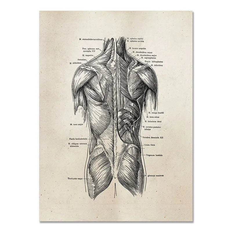 Human Back Painting - WHITE ARMY