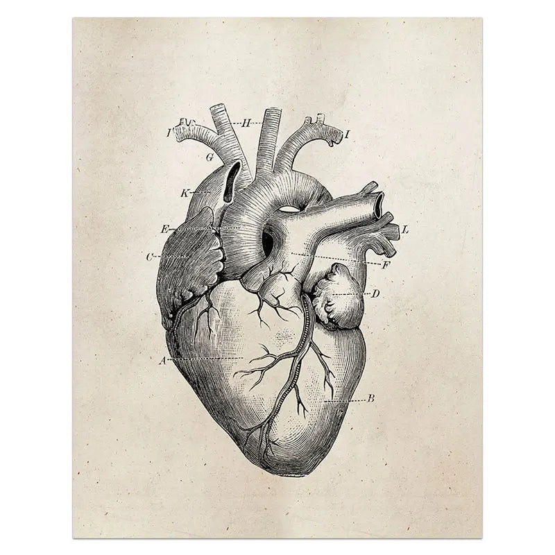 Human Heart Painting