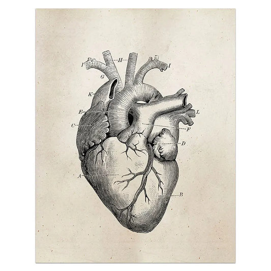 لوحة قلب بشري